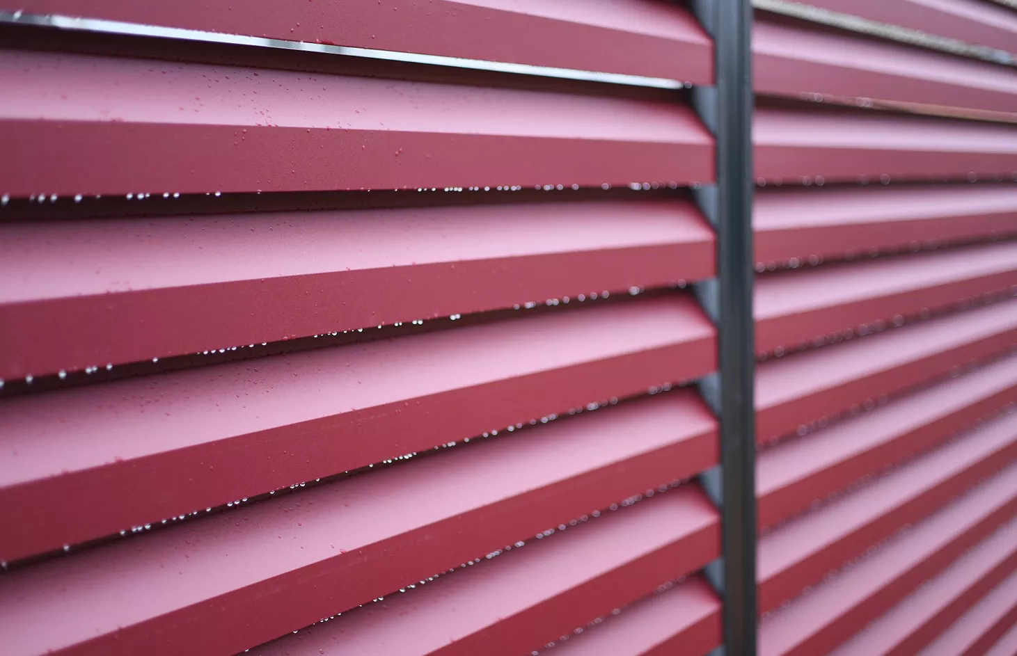 sekciina-ogoroza-romb-130 (5)